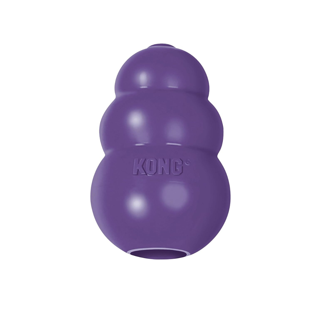 Durable Rubber Dog Toy β Chew, Play & Stay Happy