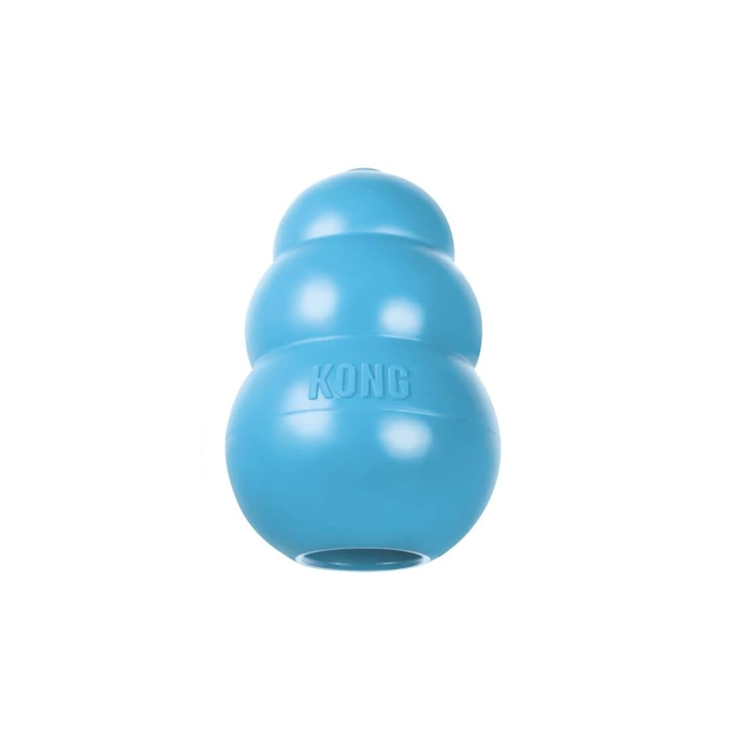 Durable Rubber Dog Toy β Chew, Play & Stay Happy