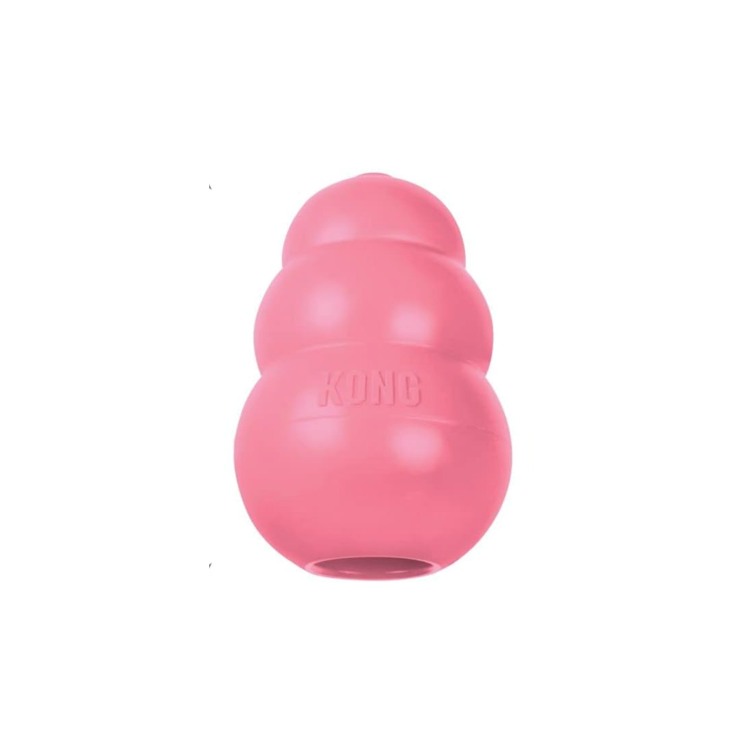 Durable Rubber Dog Toy β Chew, Play & Stay Happy