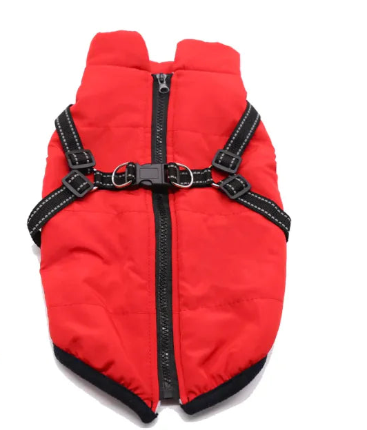 Winter Dog Cotton Coat