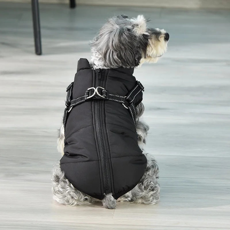 Winter Dog Cotton Coat