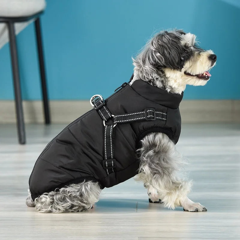 Winter Dog Cotton Coat