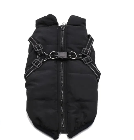 Winter Dog Cotton Coat