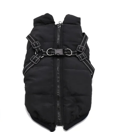 Winter Dog Cotton Coat