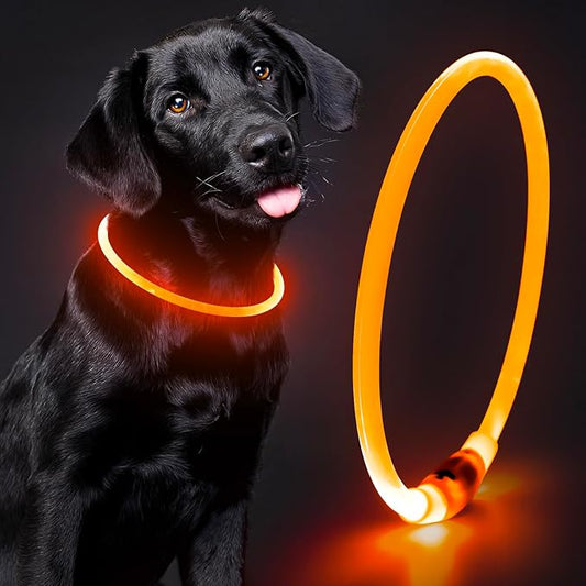LED Rechargeable Dog Collar