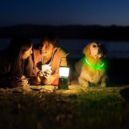 LED Rechargeable Dog Collar
