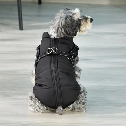 Winter Dog Cotton Coat