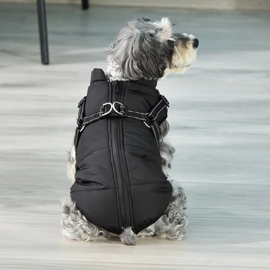 Winter Dog Cotton Coat