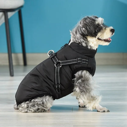 Winter Dog Cotton Coat