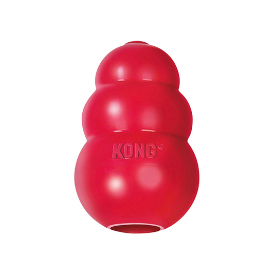 Durable Rubber Dog Toy – Chew, Play & Stay Happy