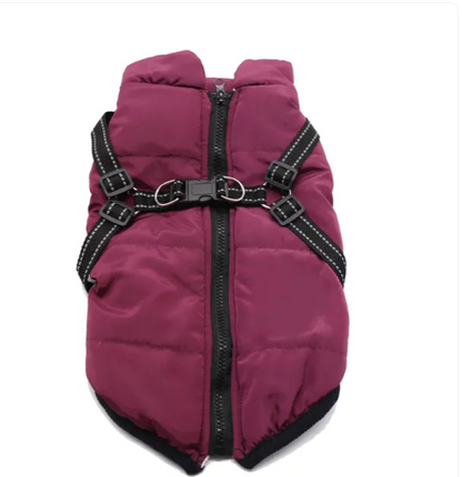 Winter Dog Cotton Coat